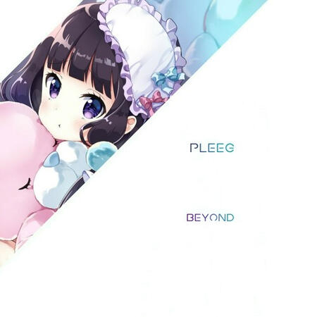 PLEEG - Beyond