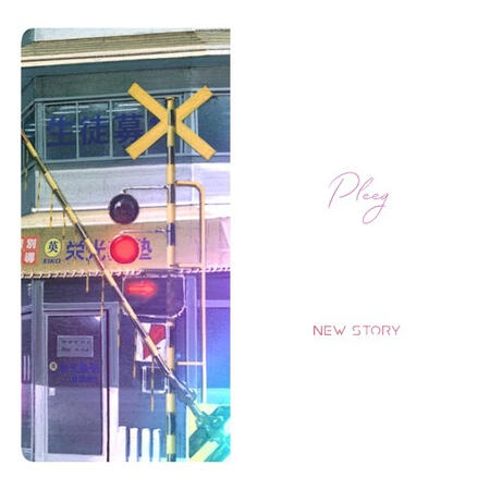 PLEEG - New Story